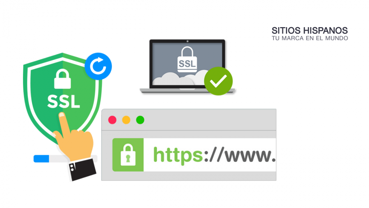 Cómo configurar tu WordPress para que utilice el certificado SSL